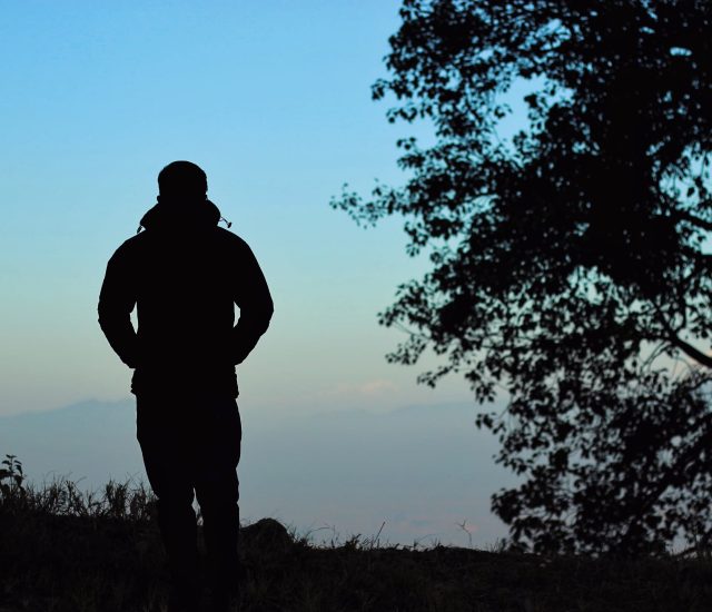 World Mental Health Day 2026: If We Want Different Fruit, We Must Tend to the Roots