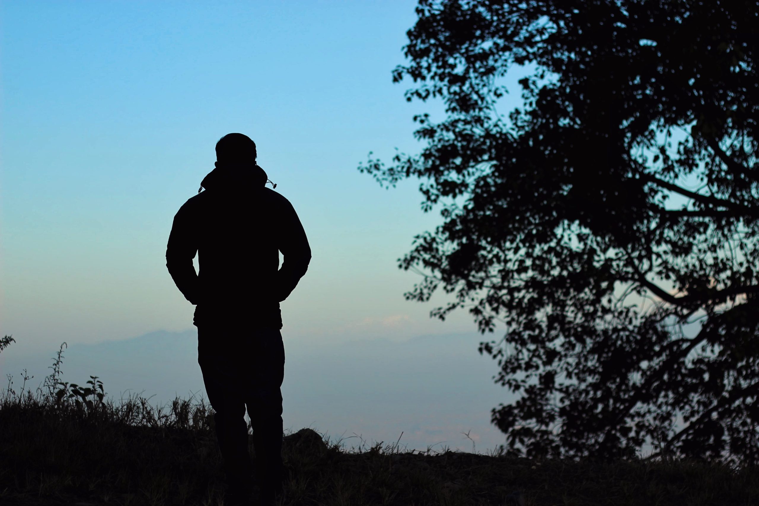 World Mental Health Day 2026: If We Want Different Fruit, We Must Tend to the Roots